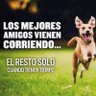 Jose Dario Salazar Cardona's profile picture