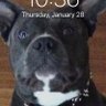Profilbild von diggedy