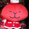 さるぼんぼん profil fotoğrafı