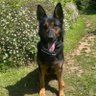 Profilbild von RPD Dixie