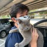 Adzim's profile picture