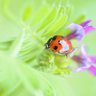 さとみ profil fotoğrafı