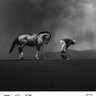 Noor janel profil fotoğrafı