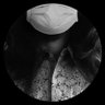UMRMKHTR 🏴's profile picture