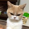 nihilist 的头像