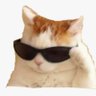 Soa de Lourdes's profile picture