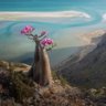 Profilbild von ضوء عدن