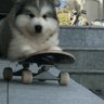 kinrongzk's profile picture
