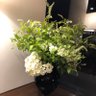 toshimi's profile picture