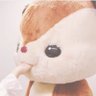ぃゎゅ's profile picture
