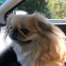 michelle's profile picture