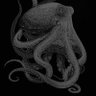 k - ҂͍̟͐̒̎͆̅̚̚( * ̧_*)'s profile picture