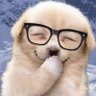 ぼんぬです!₂⁴¹₆🌈◉ k⊶z profil fotoğrafı