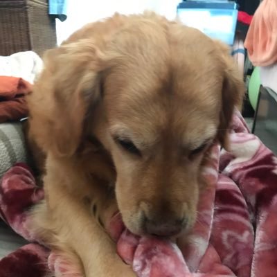 minako's profile picture