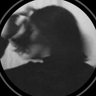 rahaf's profile picture