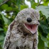 Фото профиля The fleeting bird