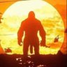Christopher Feola's profile picture