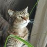 Giggahurts profil fotoğrafı