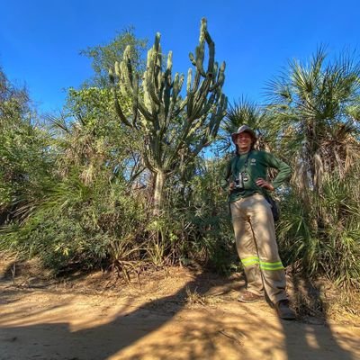Luis Recalde's profile picture