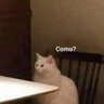 CatMisteriousRighteousss's profile picture
