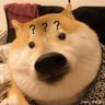 mxkyy 的头像