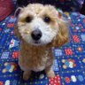 Profilbild von 及川 剛