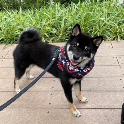 和凪(なぎ).'s profile picture