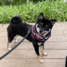 和凪(なぎ). profil fotoğrafı