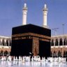 Safia Saroya's profile picture