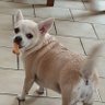 Brillon Brigitte profil fotoğrafı