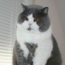 Pablo's profile picture