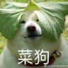 菜狗's profile picture