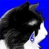 ちえもり profil fotoğrafı