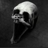 Pan/Tilt's profile picture