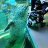 Фото профиля ぇぃち