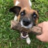 Lulu Brasil ✊🏽 profil fotoğrafı