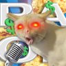 Random Order Show™'s profile picture