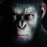 Ceasar profil fotoğrafı
