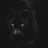 P4NT3RBLACK profil fotoğrafı