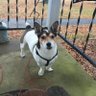 Jon Love's profile picture