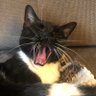QxJ's profile picture