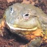 Фото профиля やま やま