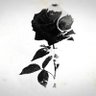 رؤوف الأمير 的头像