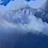 josé Lepú's profile picture