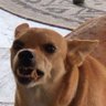 QUITTIN''s profile picture