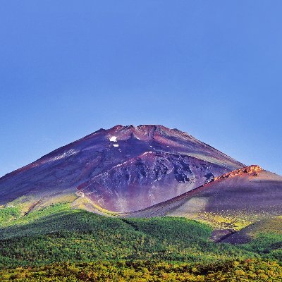 mt223guide's profile picture