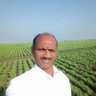 Reddy Vijayamohanreddy's profile picture