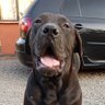 Kobia Kobia profil fotoğrafı