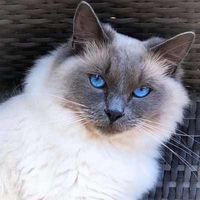 Beth xx's profile picture