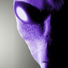 ens ignotum's profile picture